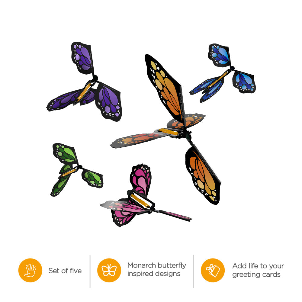 Flutter Flyers
