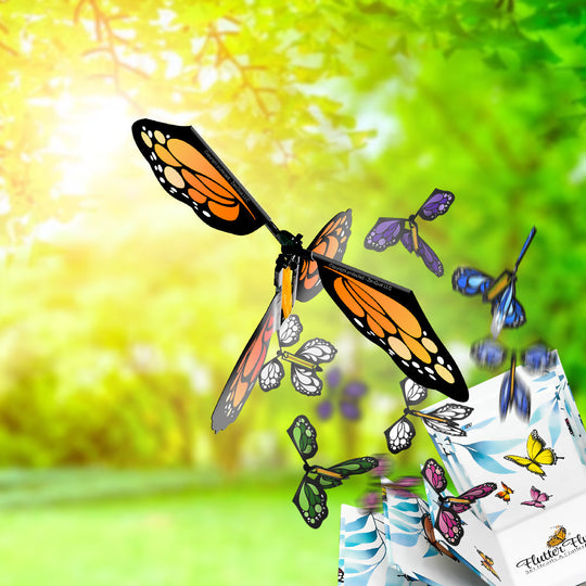 Flutter Flyers
