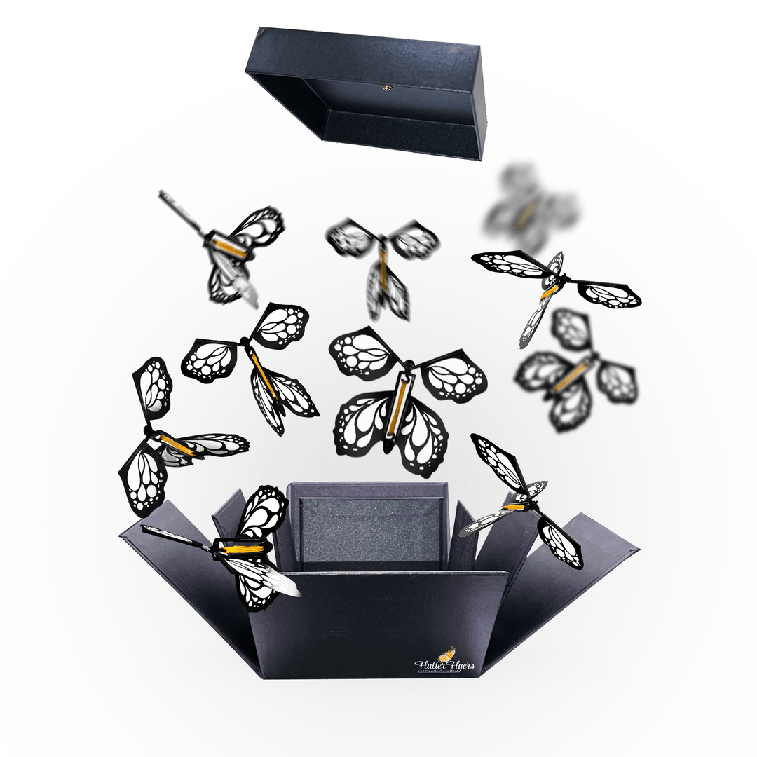 Flutter Flyers White Monarch Flyers x 5 Black Explosion Butterfly Box with FlutterFlyers