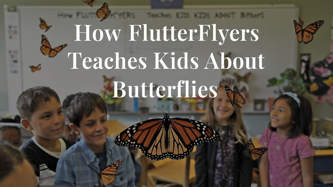 Educational Play: How FlutterFlyers Teach Kids About Butterflies