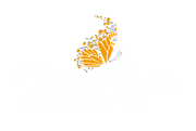 Flutter Flyers I Flying Butterflies!