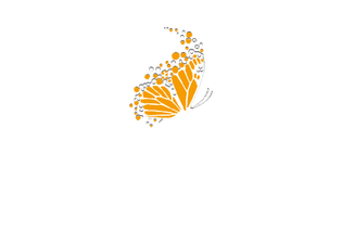 Flutter Flyers 