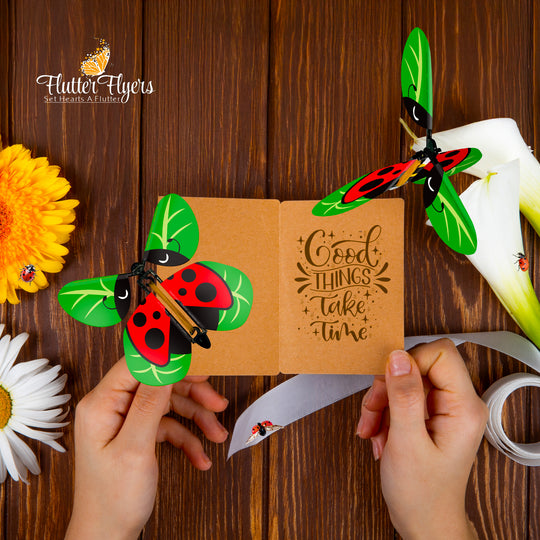 Flutter Flyers Flying Wind-Up Butterflys: Tier 1 Engros 