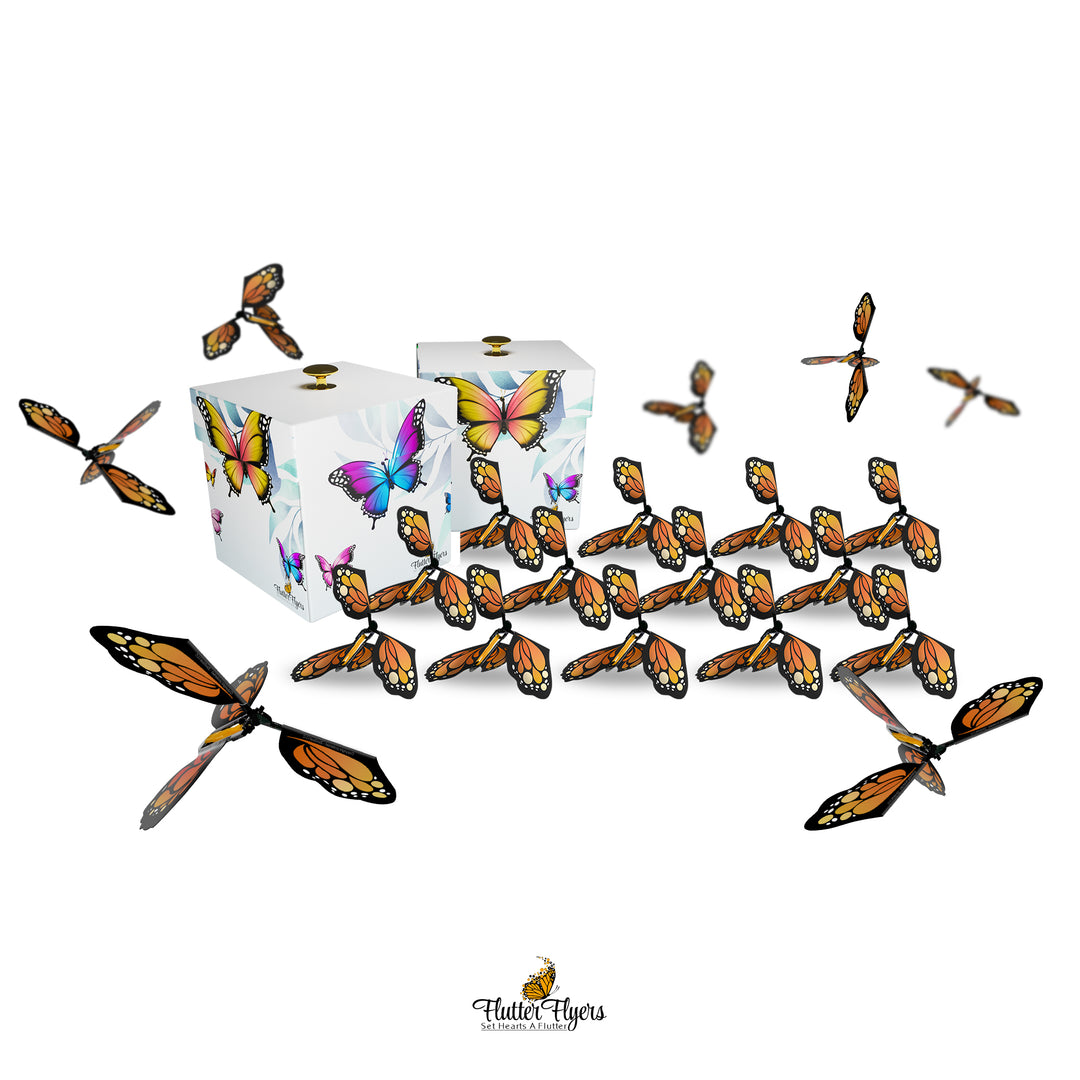 MONARCH MIGRATION SÆRLIGE BUNDLE 