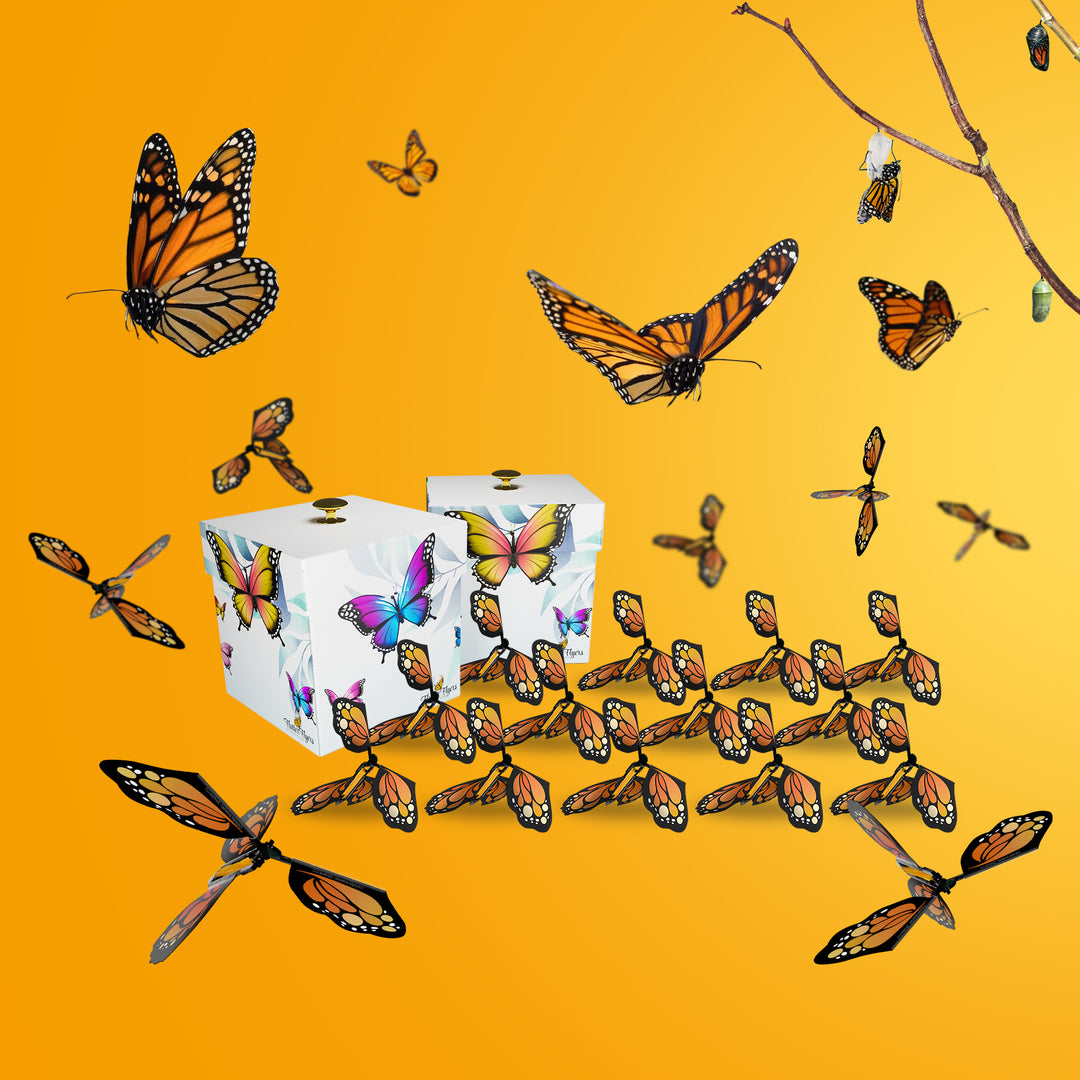 MONARCH MIGRATION SÆRLIGE BUNDLE 