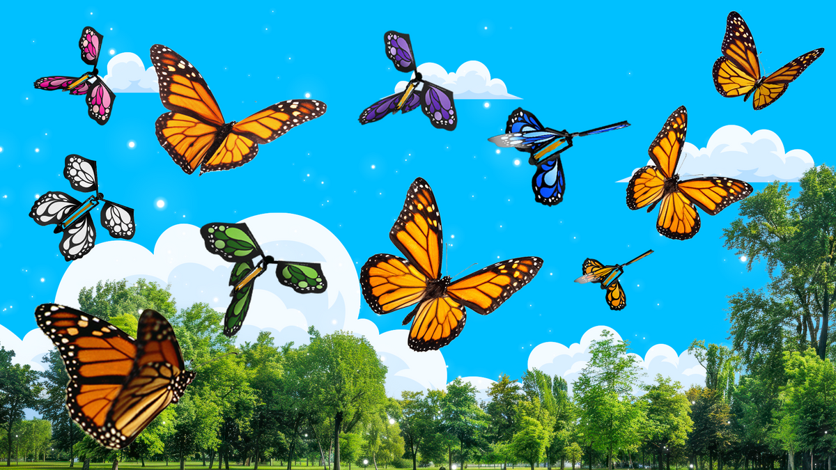 Custom Flutter Flyer Flutter Flyers – Flying Butterfly Gift for Any Occasion