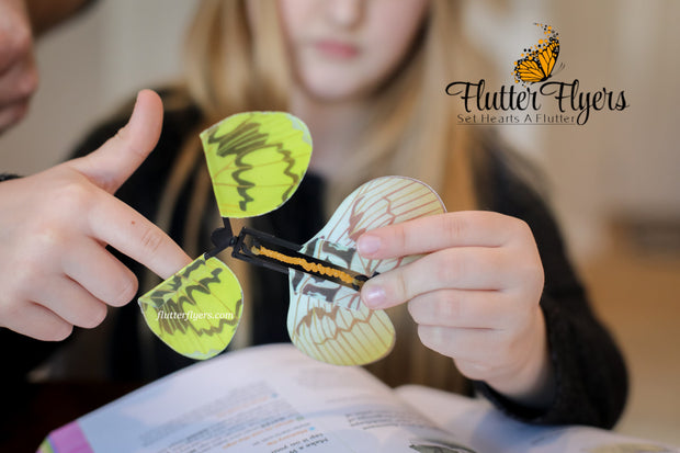 Flutter Flyers  5 Flyers  I  1 of each color FlutterFlyers I Flying Butterflies