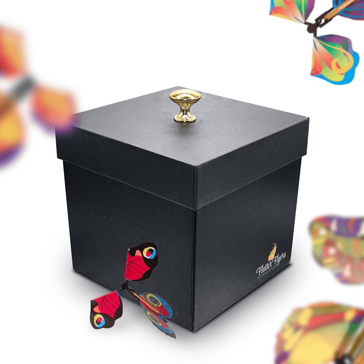 Black Exploding Butterfly Kit With Flying Butterflies – Flutter Flyers