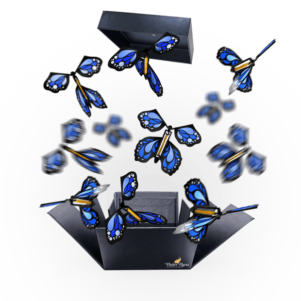 Flutter Flyers Blue Monarch Flyers x 5 Black Explosion Butterfly Box with FlutterFlyers