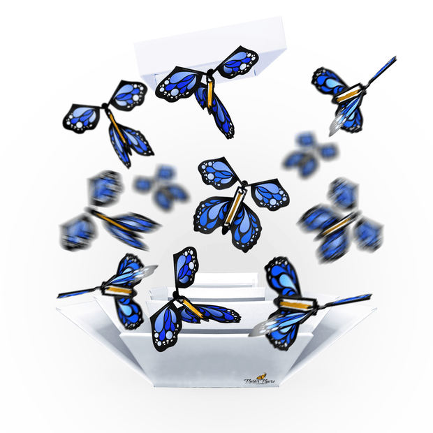 Flutter Flyers Blue Monarch Flyers x 5 White Explosion Butterfly Box with FlutterFlyers