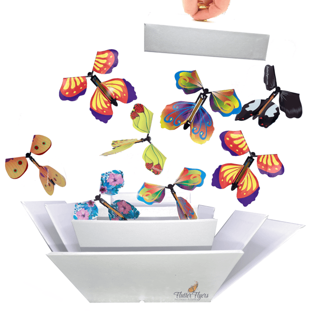 Flutter Flyers  FlutterBox I DIY Butterfly Explosion Box Kit