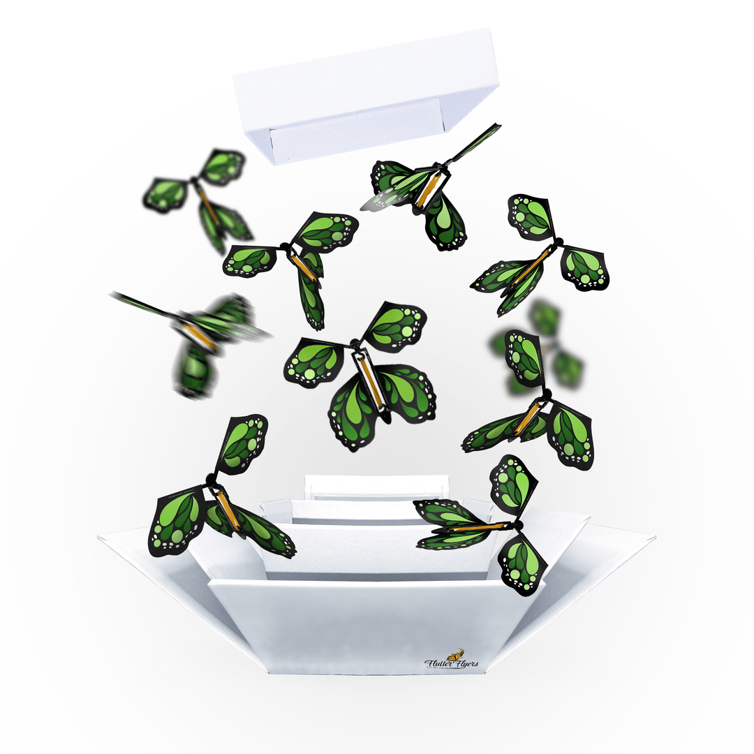 Flutter Flyers Green Monarch Flyers x 5 White Explosion Butterfly Box with FlutterFlyers