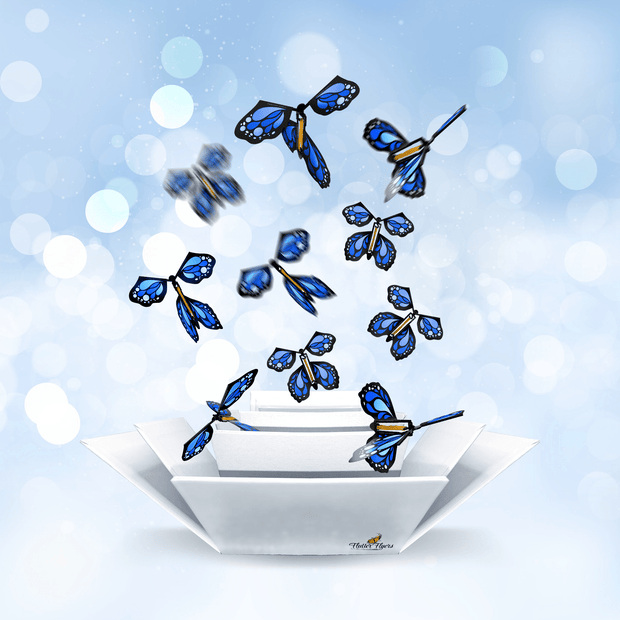 Flutter Flyers It's A Boy Gender Reveal FlutterFlyers I Blue or Pink Flying Butterflies and White FlutterBox