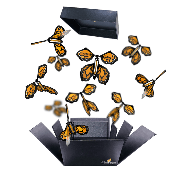 Flutter Flyers Orange Monarch Flyers x 5 Black Explosion Butterfly Box with FlutterFlyers