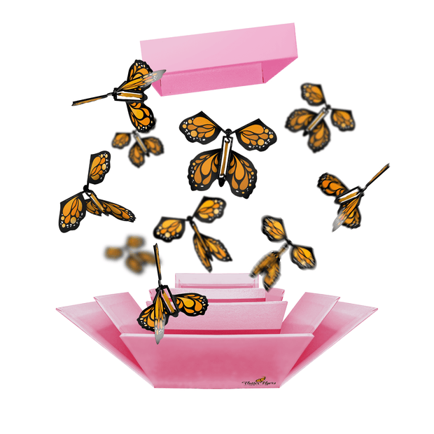 Flutter Flyers Orange Monarch Flyers x 5 Pink Explosion Butterfly Box with FlutterFlyers