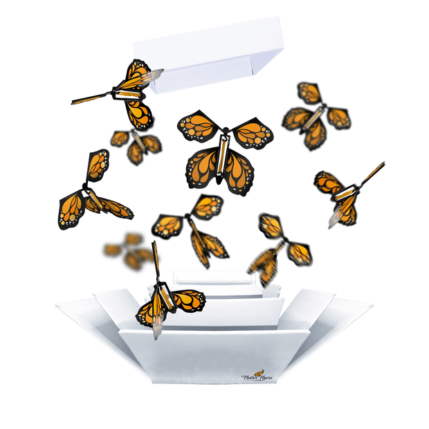 Flutter Flyers Orange Monarch Flyers x 5 White Explosion Butterfly Box with FlutterFlyers