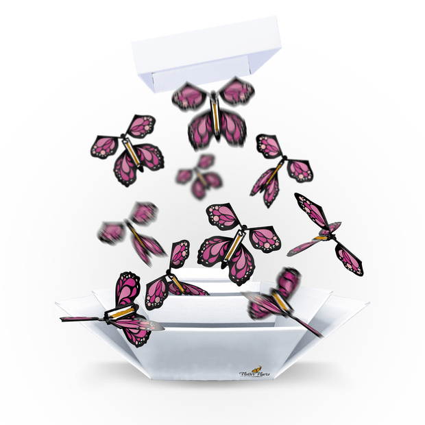 Flutter Flyers Pink Monarch Flyers x 5 White Explosion Butterfly Box with FlutterFlyers