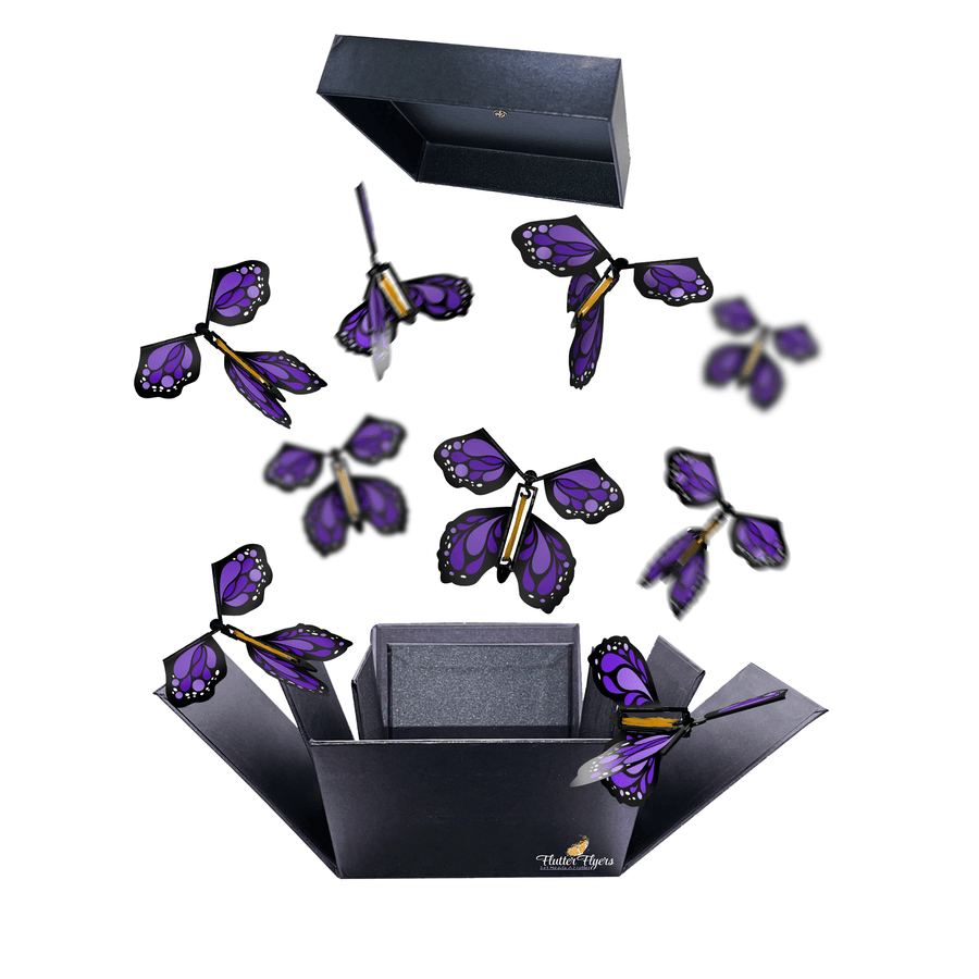 FlutterBox Noire — Flyers Purple Monarch x 5