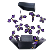 Flutter Flyers Purple Monarch Flyers x 5 Black Explosion Butterfly Box with FlutterFlyers