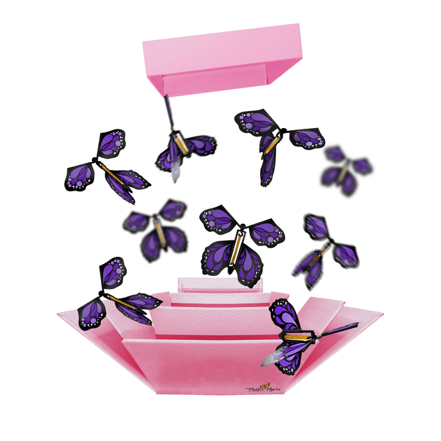 Flutter Flyers Purple Monarch Flyers x 5 Pink Explosion Butterfly Box with FlutterFlyers