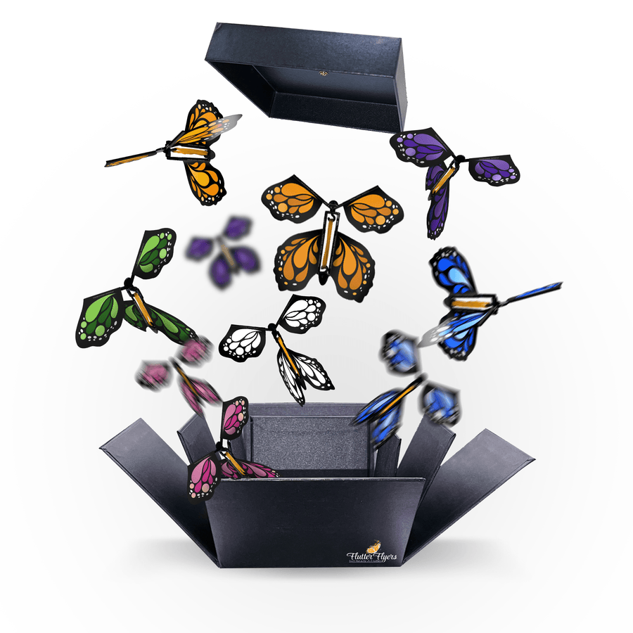FlutterBox Noire — Volants Monarch aléatoires x 5
