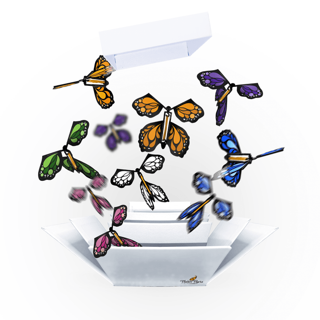 White Explosion Butterfly Box with FlutterFlyers Flutter Flyers