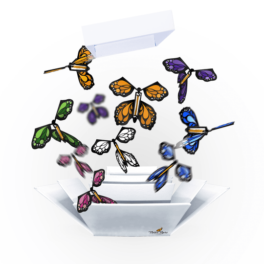 Flutter Flyers  White DIY FlutterBox +5 FlutterFlyers FlutterBox I DIY Butterfly Explosion Box Kit