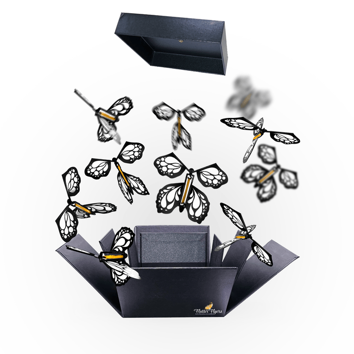 Black Exploding Butterfly Kit With Flying Butterflies – Flutter Flyers