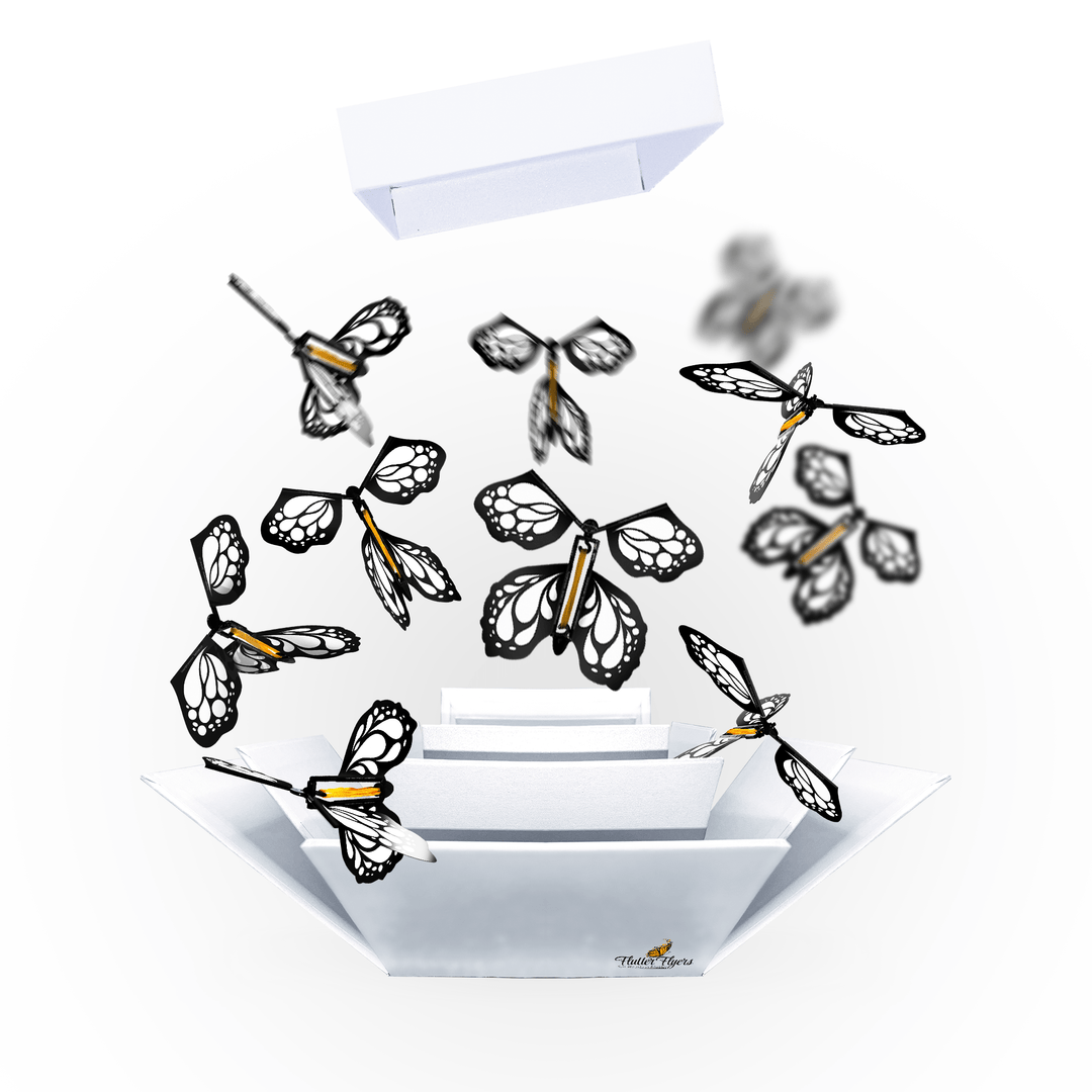 Flutter Flyers White Monarch Flyers x 5 White Explosion Butterfly Box with FlutterFlyers