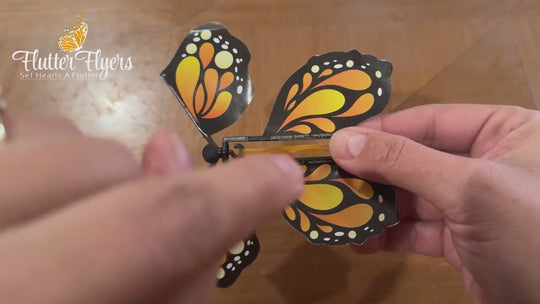 Butterfly Explosion Gift Box with Flying Butterflies, Monarch Butterfly Surprise Box, Birthday Gift, Mother’s Day Gift, Unique Gift
